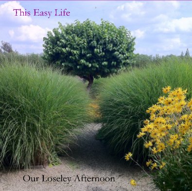 This Easy Life book cover
