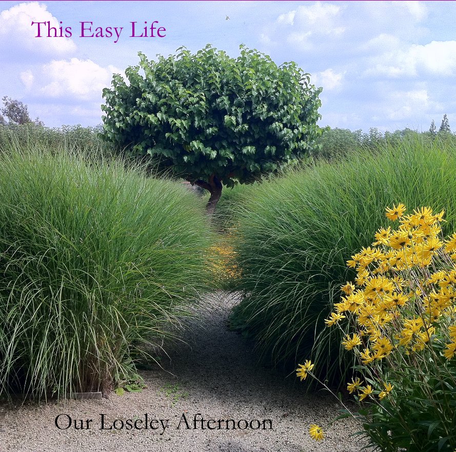 Ver This Easy Life por martinben