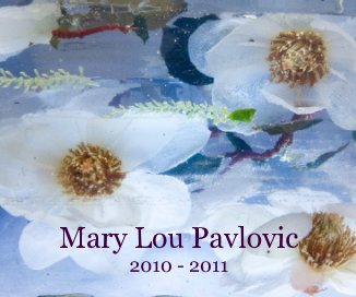Mary Lou Pavlovic 2010 - 2011 book cover