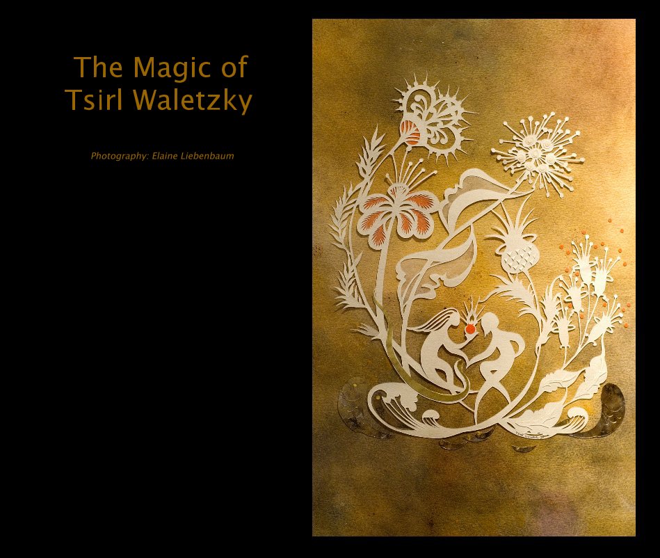 View The Magic of Tsirl Waletzky by Photography: Elaine Liebenbaum