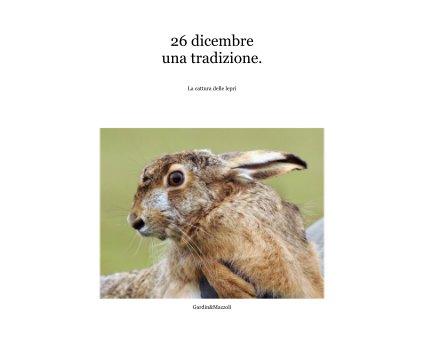 26 dicembre una tradizione. book cover