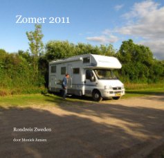 Zomer 2011 book cover