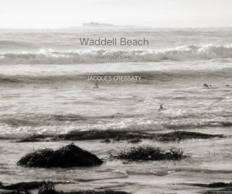 Waddell Beach book cover