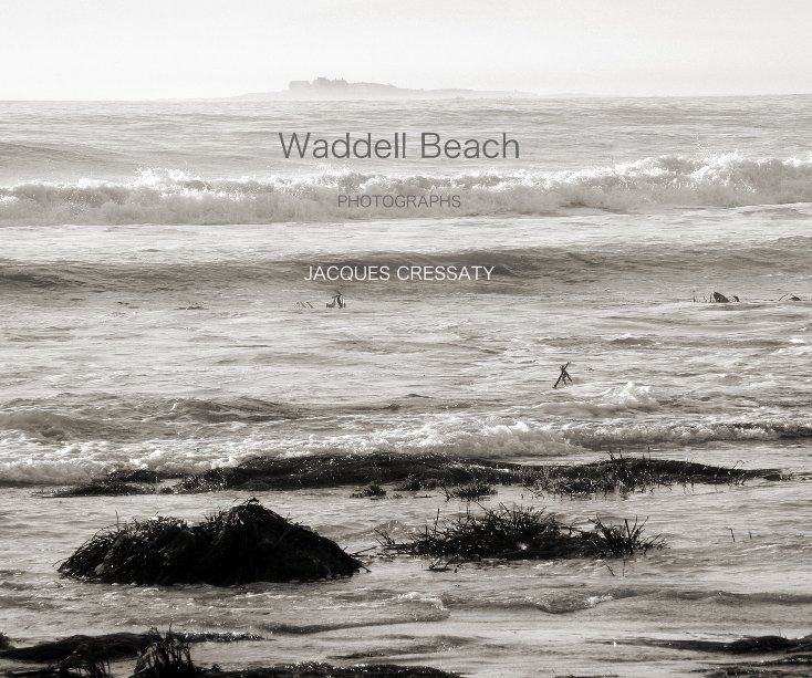 View Waddell Beach by Jacques Cressaty