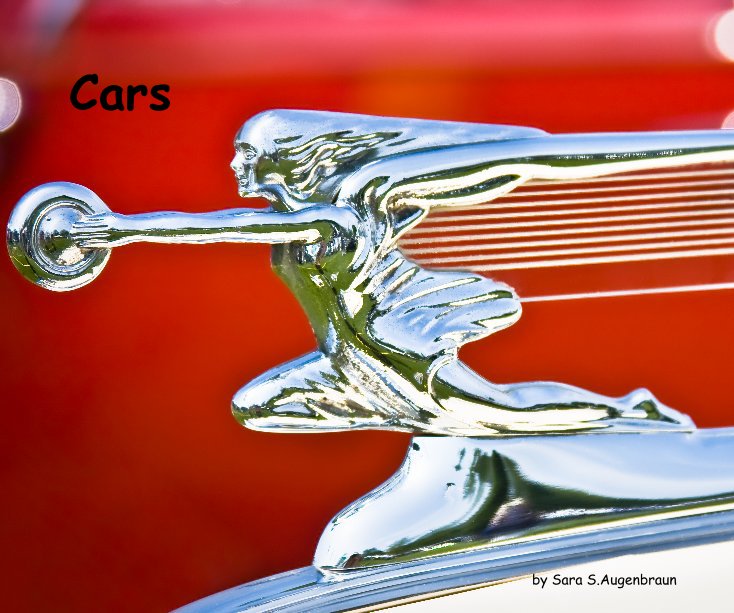 View Cars by Sara S.Augenbraun