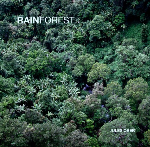 View RAINFOREST by JULES OBER