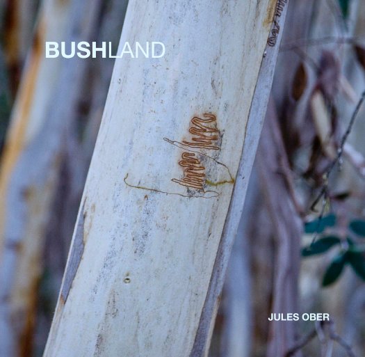 View BUSHLAND by JULES OBER