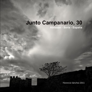 Junto Campanario, 30 Almazán - Soria - España book cover