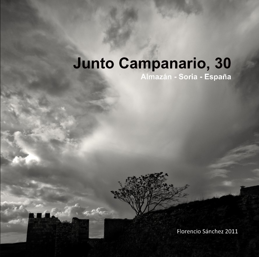 View Junto Campanario, 30 Almazán - Soria - España by florencio111