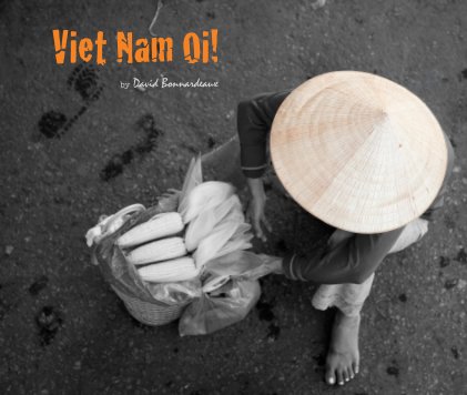 Viet Nam Oi! book cover