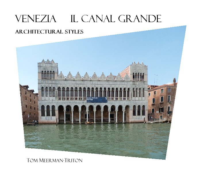 View Venezia Il Canal Grande by Tom Meerman-Triton