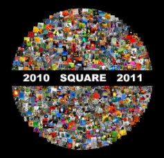 2010 SQUARE 2011 book cover