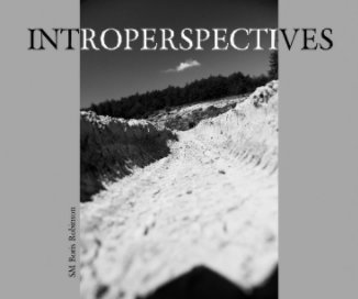 Introperspectives book cover