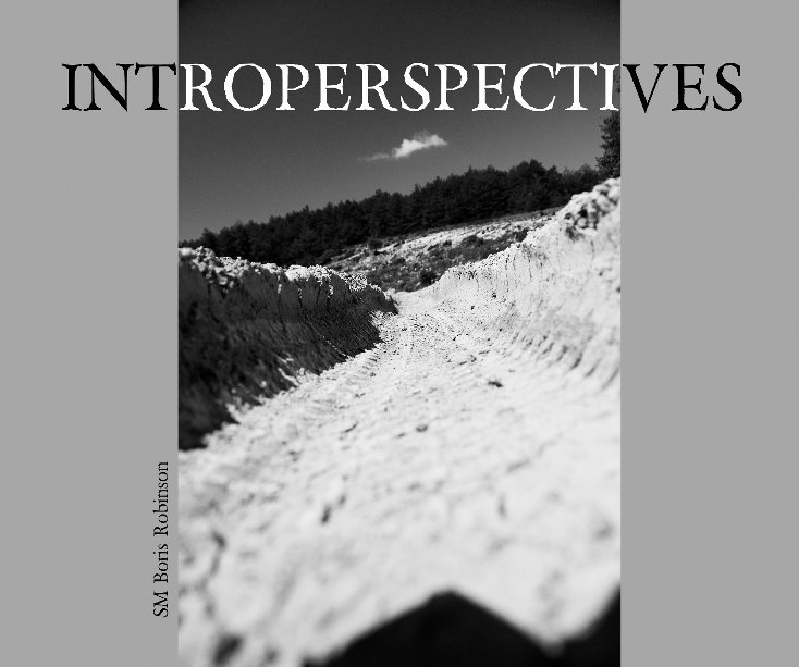 View Introperspectives by SM Boris Robinson