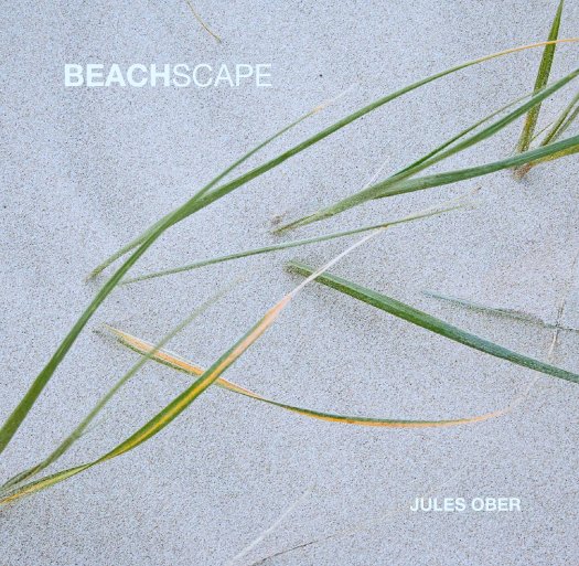 View BEACHSCAPE by JULES OBER