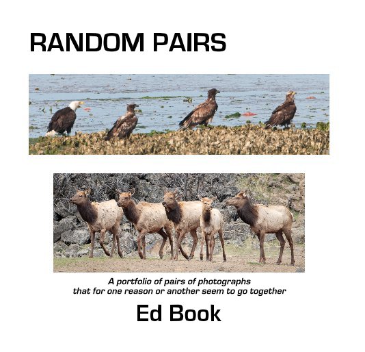 View RANDOM PAIRS by Ed Book