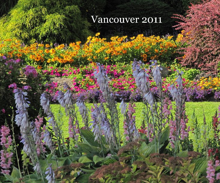 Ver Vancouver 2011 por Eric Hadley-Ives