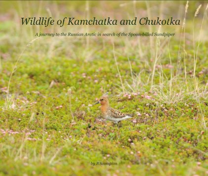 Wildlife of Kamchatka and Chukotka A journey to the Russian Arctic in search of the Spoon-billed Sandpiper book cover