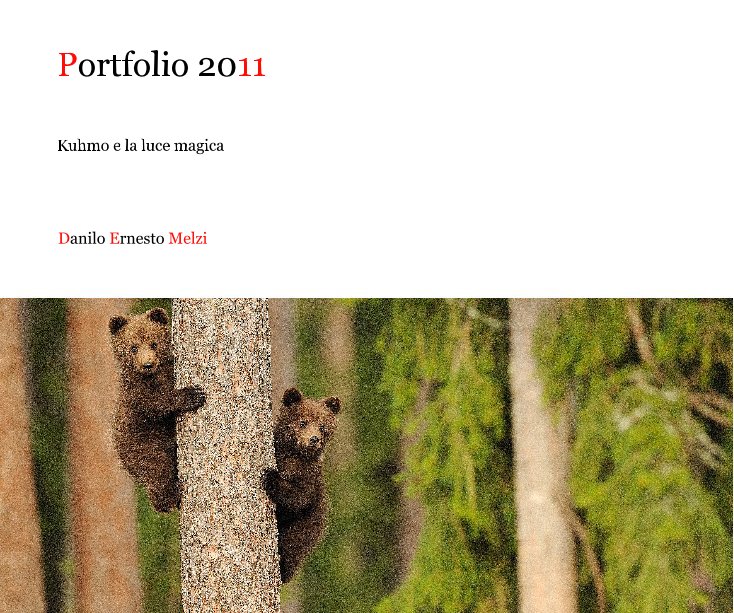 Bekijk Portfolio 2011 op Danilo Ernesto Melzi