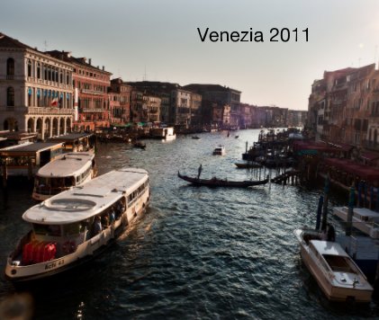 Venezia 2011 book cover