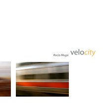 velocity book cover