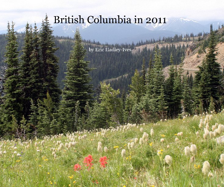 View British Columbia in 2011 by Eric Hadley-Ives