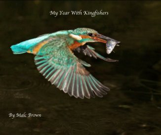 My Year With Kingfishers book cover
