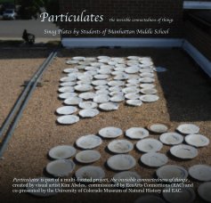 Particulates - the invisible connectedness of things and Smog Plates by Students of Manhattan Middle School book cover
