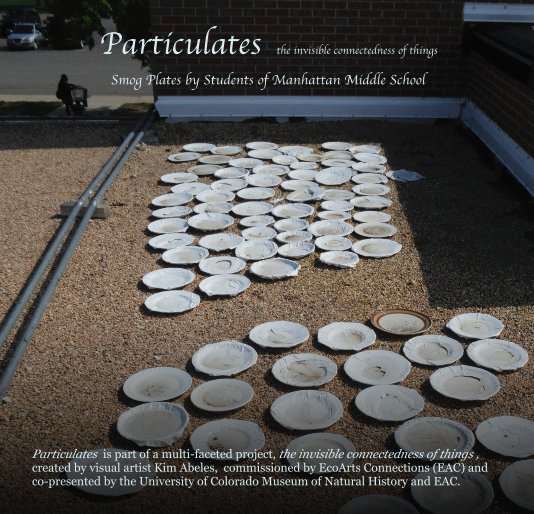 View Particulates - the invisible connectedness of things and Smog Plates by Students of Manhattan Middle School by Kim Abeles