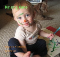 Raising Kane book cover