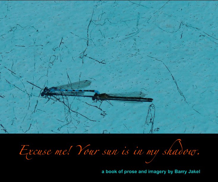 View Excuse me! Your sun is in my Shadow. by a book of prose and imagery by Barry Jakel
