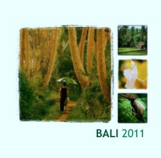 BALI 2011 book cover