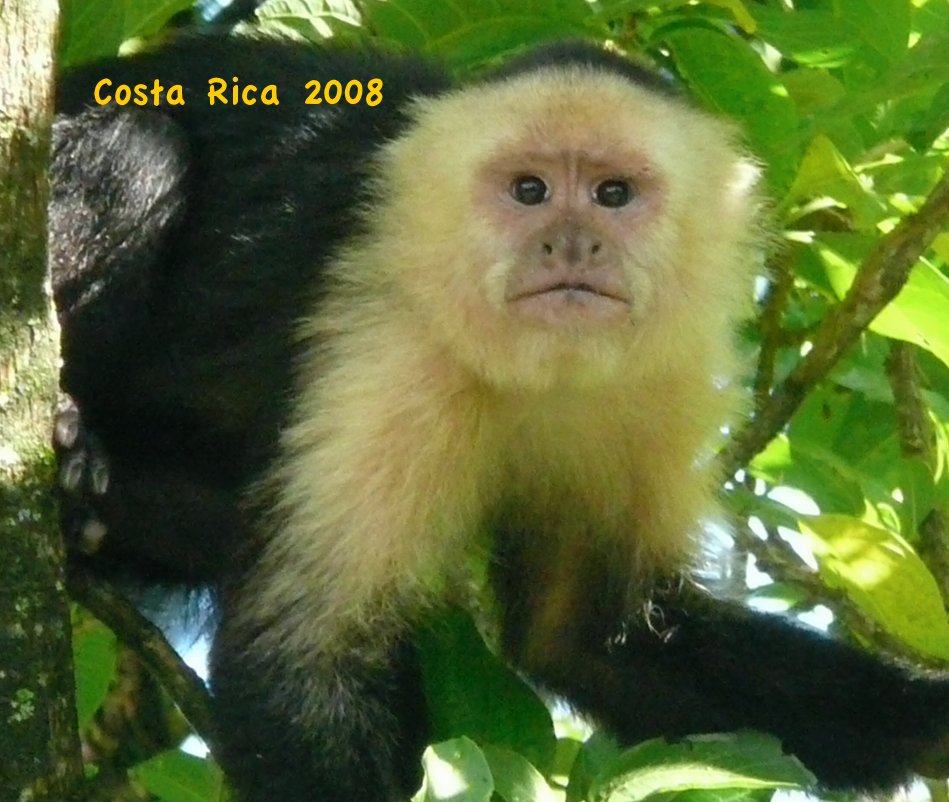 View Costa Rica 2008 by My Media Bandit