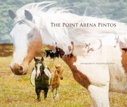 The Point Arena Pintos book cover