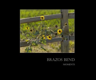 BRAZOS BEND book cover