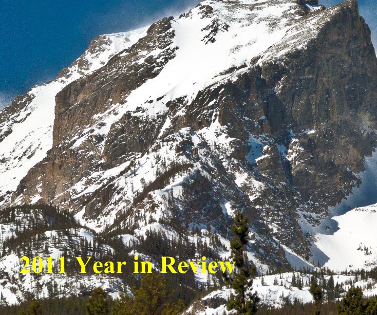 View 2011 Year in Review by William D. Nelsch