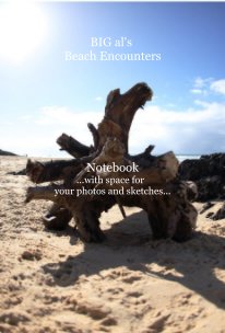 BIG al's Beach Encounters book cover