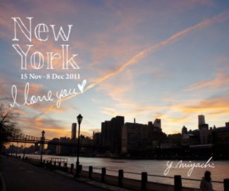 New York I love you book cover