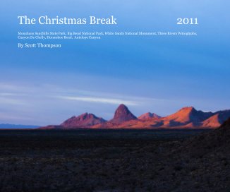 The Christmas Break 2011 book cover