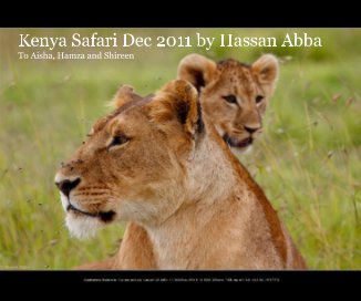 Kenya Safari Dec 2011 by Hassan Abba To Aisha, Hamza and Shireen book cover