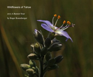 Wildflowers of Tahoe book cover