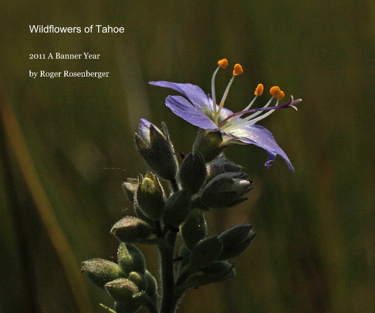 View Wildflowers of Tahoe by Roger Rosenberger