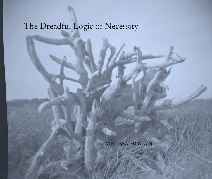 View The Dreadful Logic of Necessity by MELISSA HOGAN