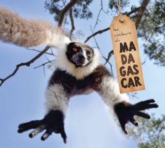 Madagascar 2011 book cover