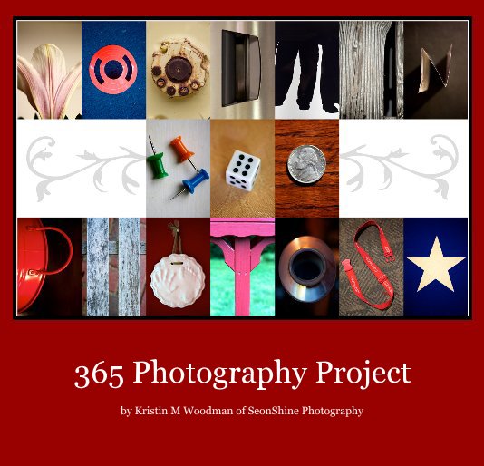 View 365 Photography Project by Kristin M Woodman of SeonShine Photography