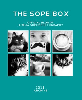 The Sope Box book cover