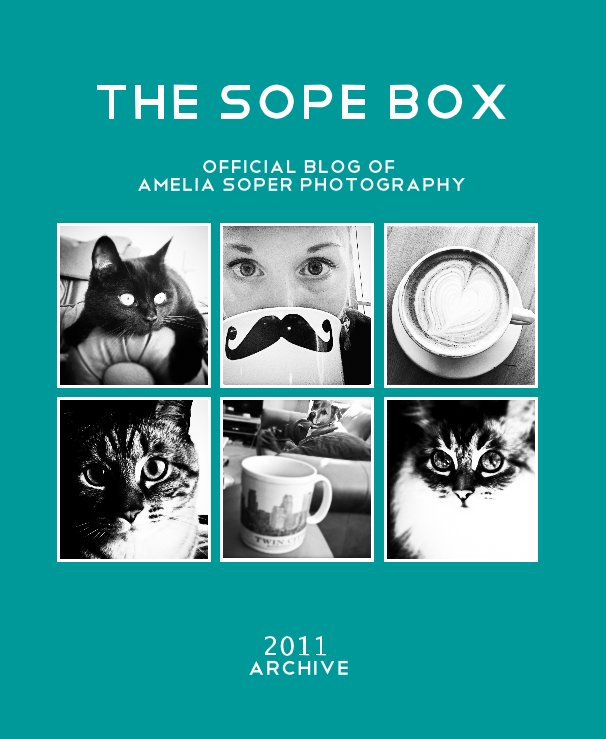View The Sope Box by 2011 archive