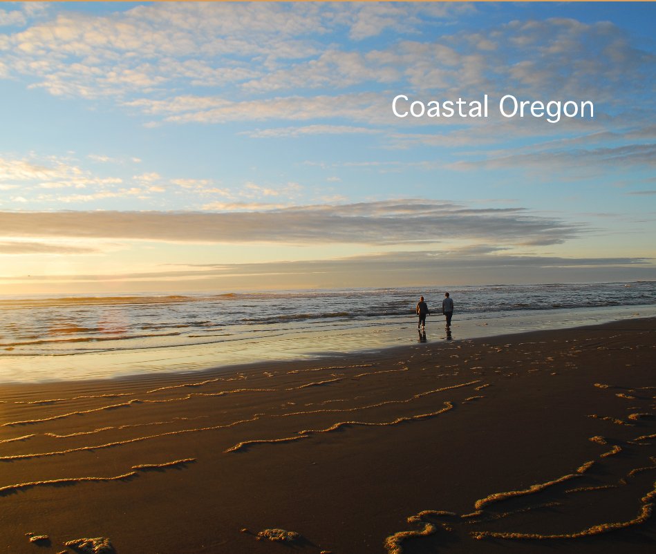 View Coastal Oregon by Suzan17