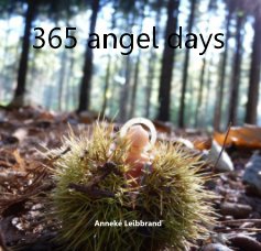 365 angel days book cover