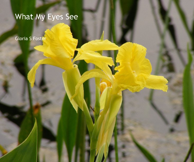 View What My Eyes See by Gloria S Foster